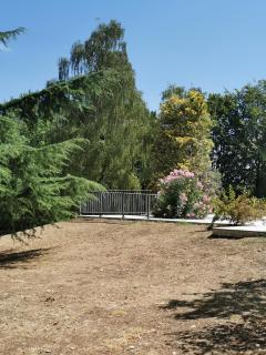 La maison du grand jardin - 7
