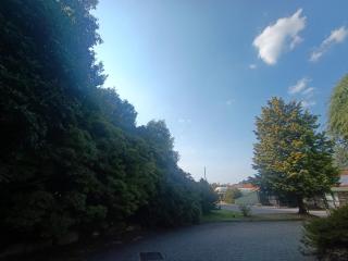 Green Hotel - 1