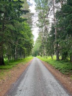 Lahemaa Nature Glamping - Kuma - 1