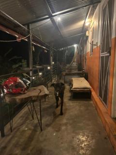 Paradise home - 1