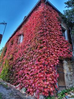 Pascaline Cottage - Crégols - 8