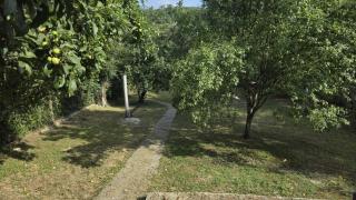 Guest House Sonja - 7