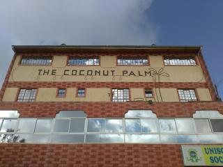 The Coconut Palm Hotel - 0
