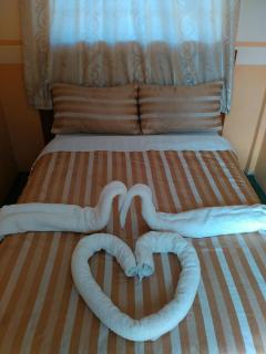 The Coconut Palm Hotel - 1