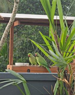 Parrot Edge Colombo - Sky Lounge - 4