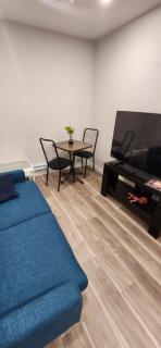 Cozy bright and spacious 1 bedroom licensed basement - 0