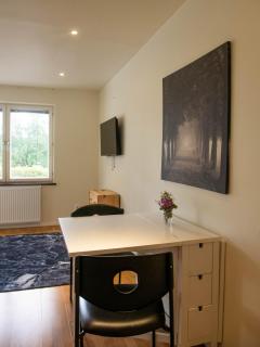 Comfortable Flat Near the Airport - 4