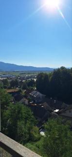 Apartment near Ljubljana, Sleeps 8, Free Parking - 4