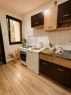 Fenix Apartman V - 1
