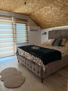 House Tickon Ostrog - 2