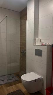 Apartman Trajković Sokobanja - 2