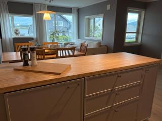 Modern holiday home on Kvaløya near Tromsø with Northern Lights and nature - 7