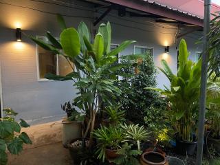 Hidden courtyard - 2