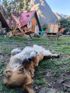 Ebenezer Salkantay Huts - Colcapampa - 3