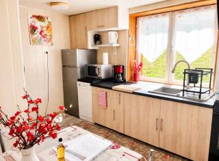 Le Cocon de Bellevaux Appartement familial - Bellevaux - 2