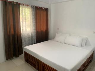 Dapdap Shorelines Beachfront Villa - 3
