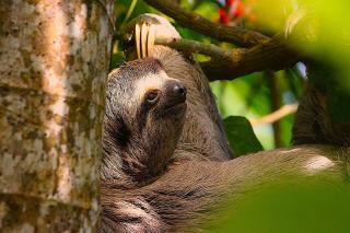Quepos Studio Rentals - 2