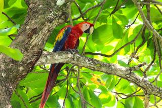 Quepos Studio Rentals - 1