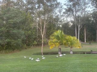 Hop, Skip and a Jump - Entire vacation home on acreage - 1
