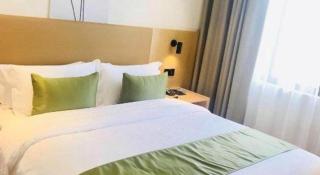 GreenTree Inn Express Guangxi Nanning Mingyang Avenue Nanning Airport - 1