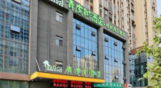 Vatica Hotel Hefei Yaohai Longgang Subway Station - 1