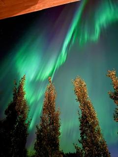 Aura by Lapland Villas, Luosto - Lapland, Lake 2 min walk, 2BR, Private Sauna, Fireplace - 9