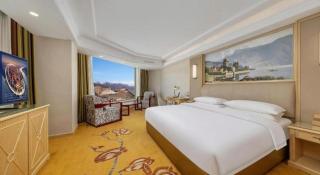 Vienna Hotel Qinghai Yushu Tangfan Avenue - 9