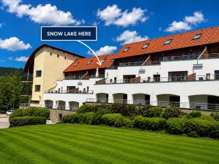 SNOW LAKE Lipno - 3