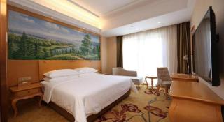 Vienna Hotel Nanjing Zhongshan Mausoleum - 9