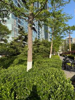 Little Elephant Mom Seaview Apartments - Dalian Railway Station Zhongshan Square Branch - 8