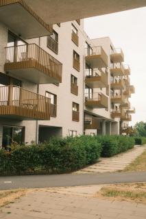 fröhlich - 6