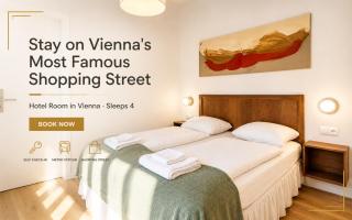1 Apt & 5 Aparthotels for Groups by Mariahilfer - Viena - 7