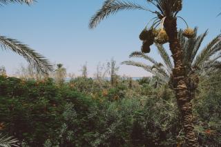 Slow Tunis - 9