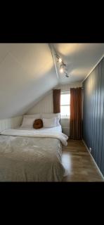 Røstad Apartment - with Kitchen and Free Parking - 6