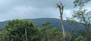 Mount Star Home Stay's - 6