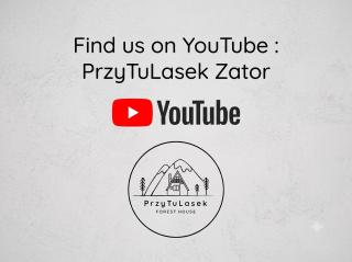 PrzyTuLasek - domek pod lasem w sercu natury, blisko Energylandii - 3