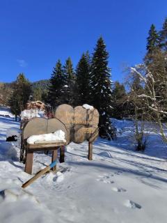 Casa Gherdëina, ski-in, ski-out mountain gem - 7