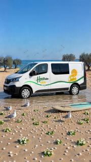 HOVO VAN Aménagé à KALAMATA - 7