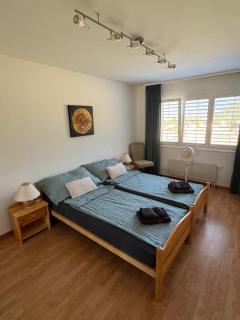 Mountain View - 4