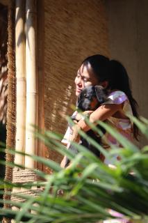 The Hostel by Sunflower Guesthouse and Animal Rescue - Koh Lipe - 4