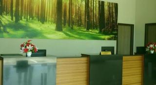 The Garden Boutique Hotel - 4