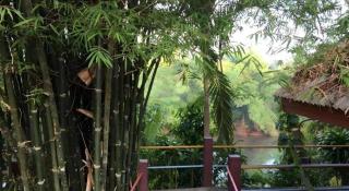 Subtawee Resort - 6