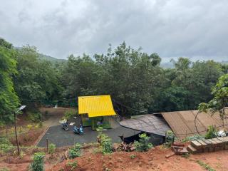 Jungle Ark - 7