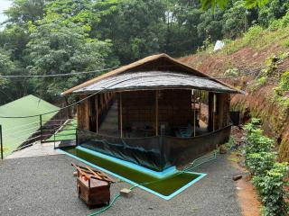 Jungle Ark - 5