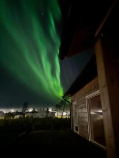 Modern Log Home in Rovaniemi - 9