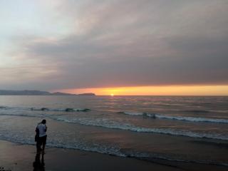 Piso mimid - 2