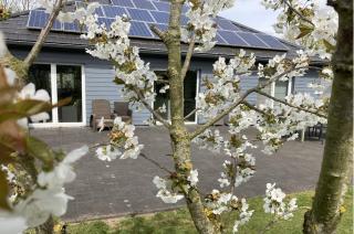 Vakantiewoning Alura - 0
