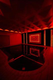 The Elysian Villa 1,1BHK, 2Kanal Area - 7