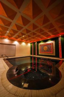 The Elysian Villa 1,1BHK, 2Kanal Area - 6