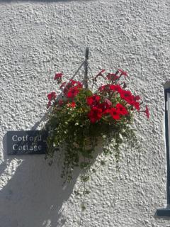 Cotford Cottage - 8